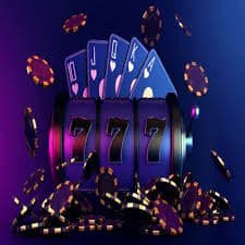 Bangladesh users exploring bet 229 sports and casino sections